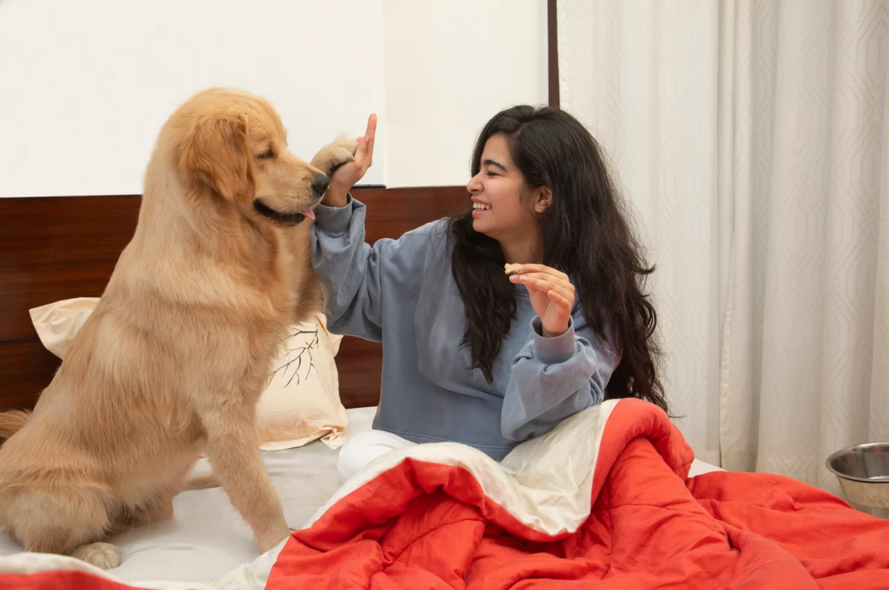 pet-comparison-image