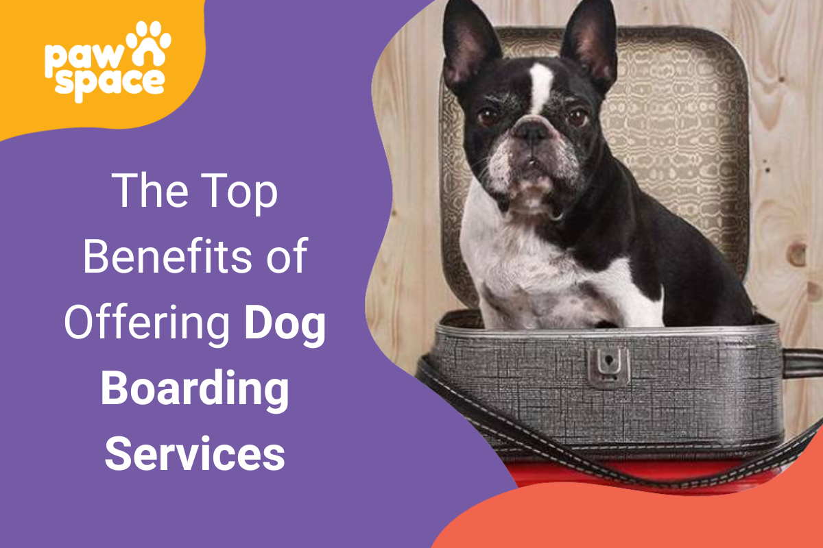 Dog Boarding Services