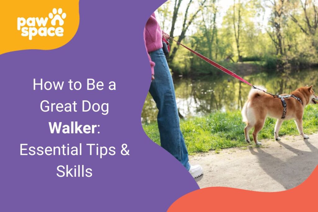 How to Be a Great Dog Walker