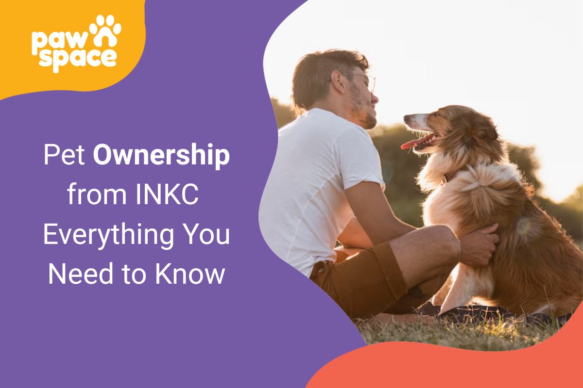 Pet ownership