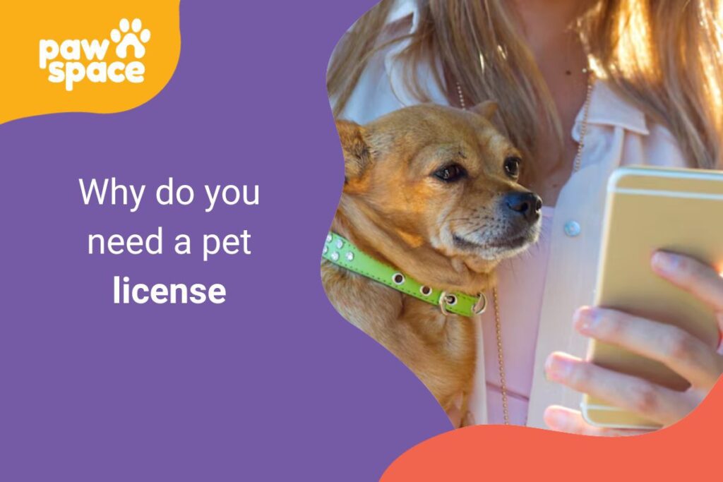 Why do you need a pet license
