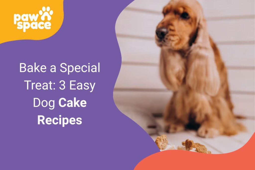 Dog Cake Recipes