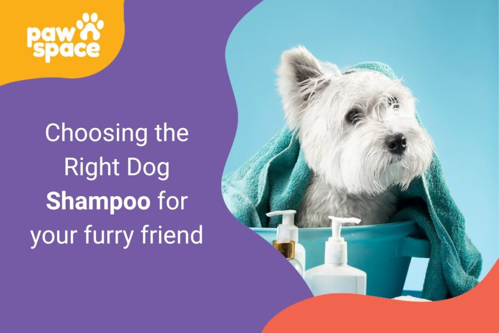 Dog Shampoo