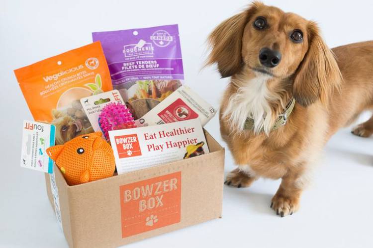 Gifts for Pets