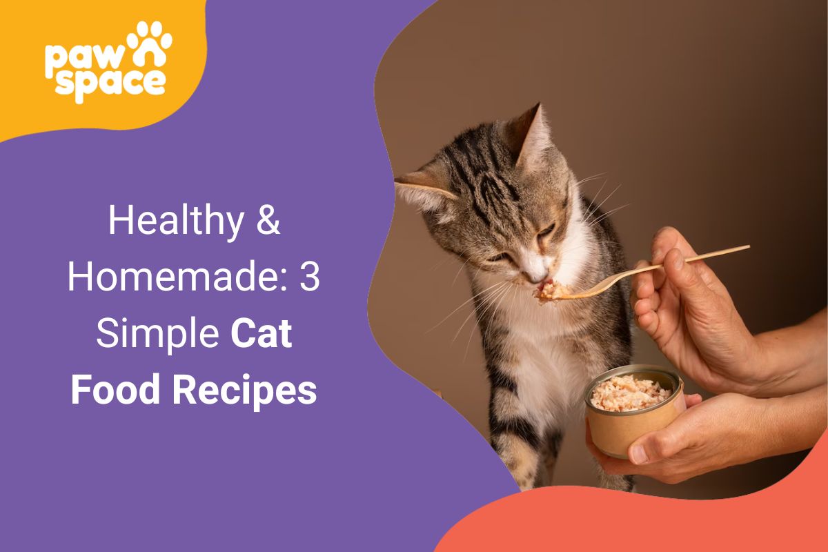 Cat Food Recipes