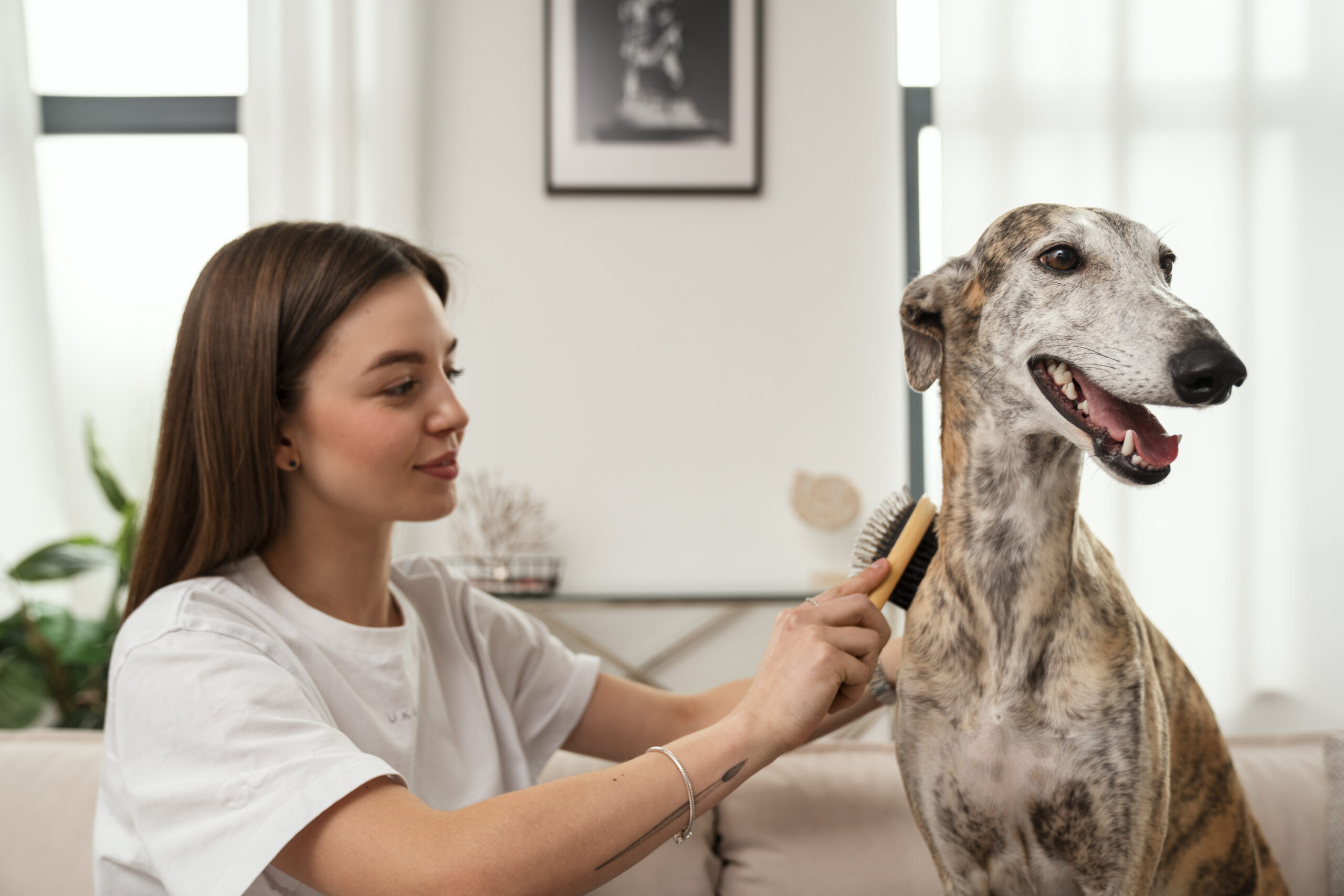 benefits of dog grooming services at home