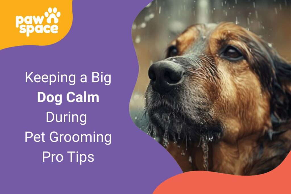 Dog Calm During Pet Grooming