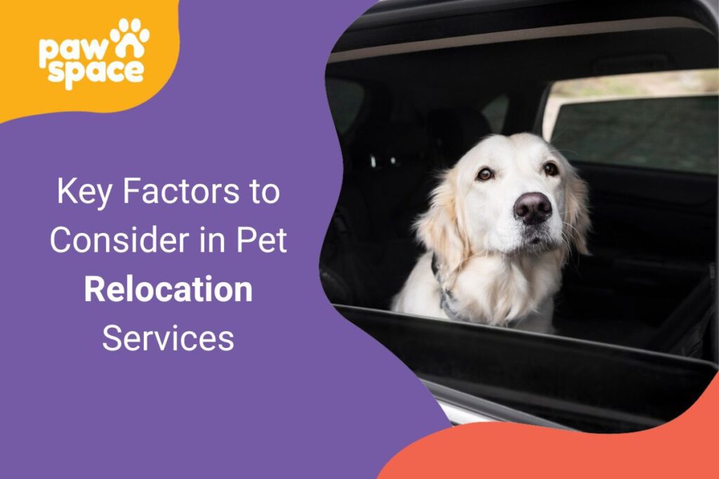 Pet Relocation Services