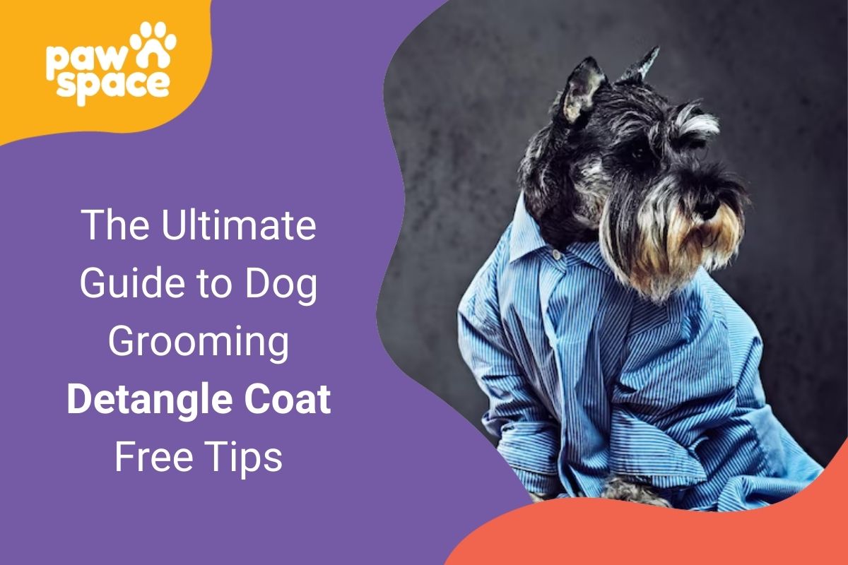 Dog Grooming Detangle Coat