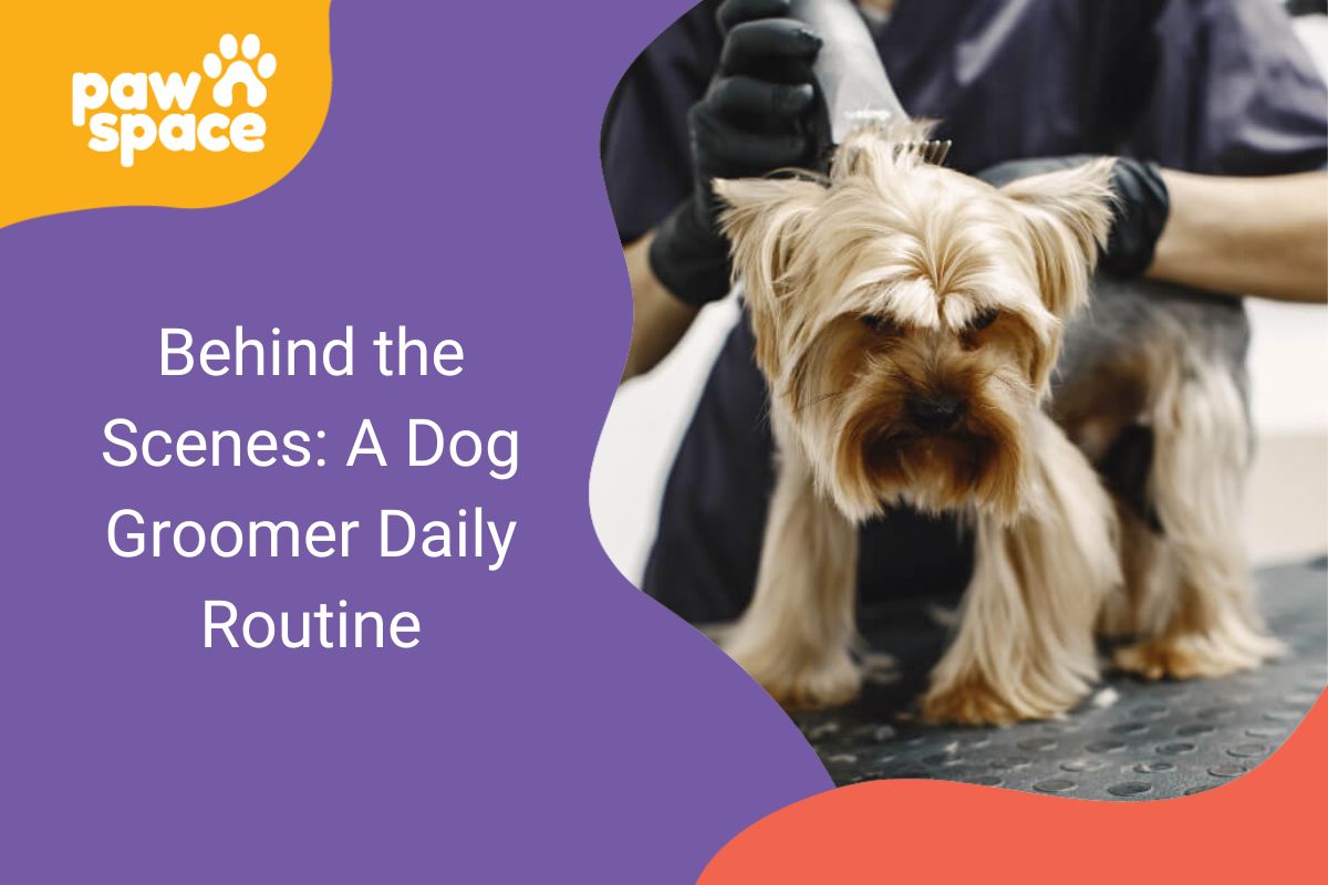Dog groomer daily routine