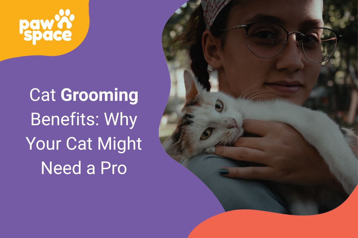 Cat Grooming Benefits
