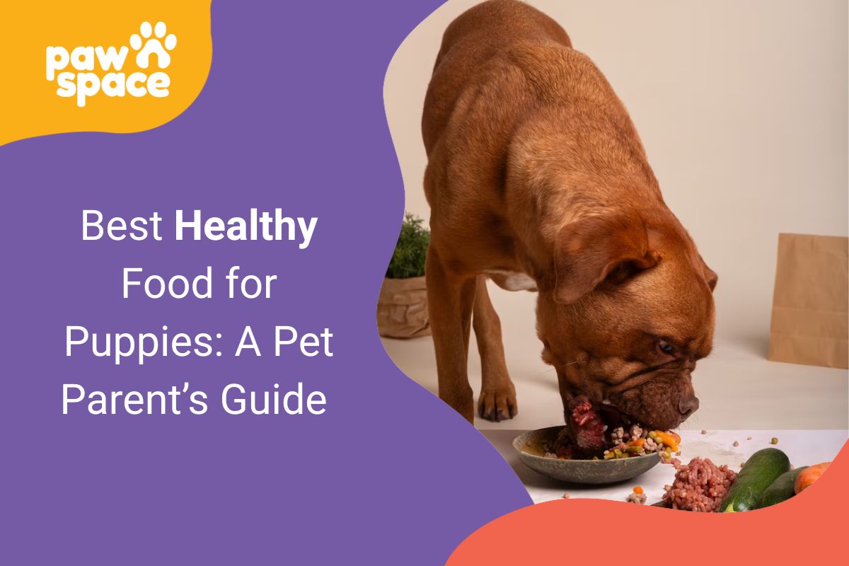 Healthy food for puppies