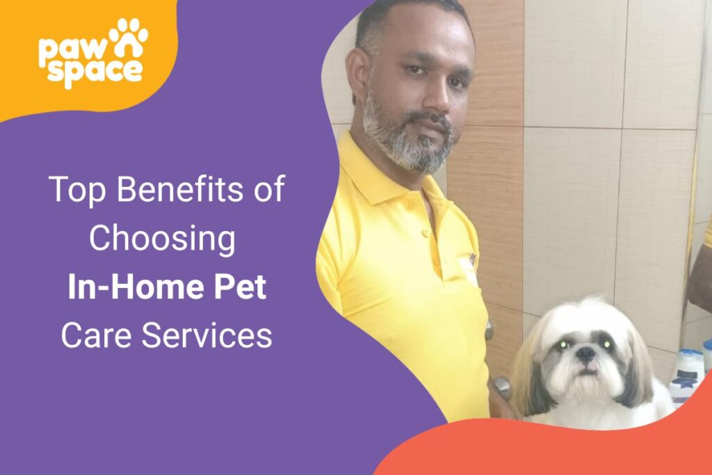 benefits of Choosing In-Home Pet Care