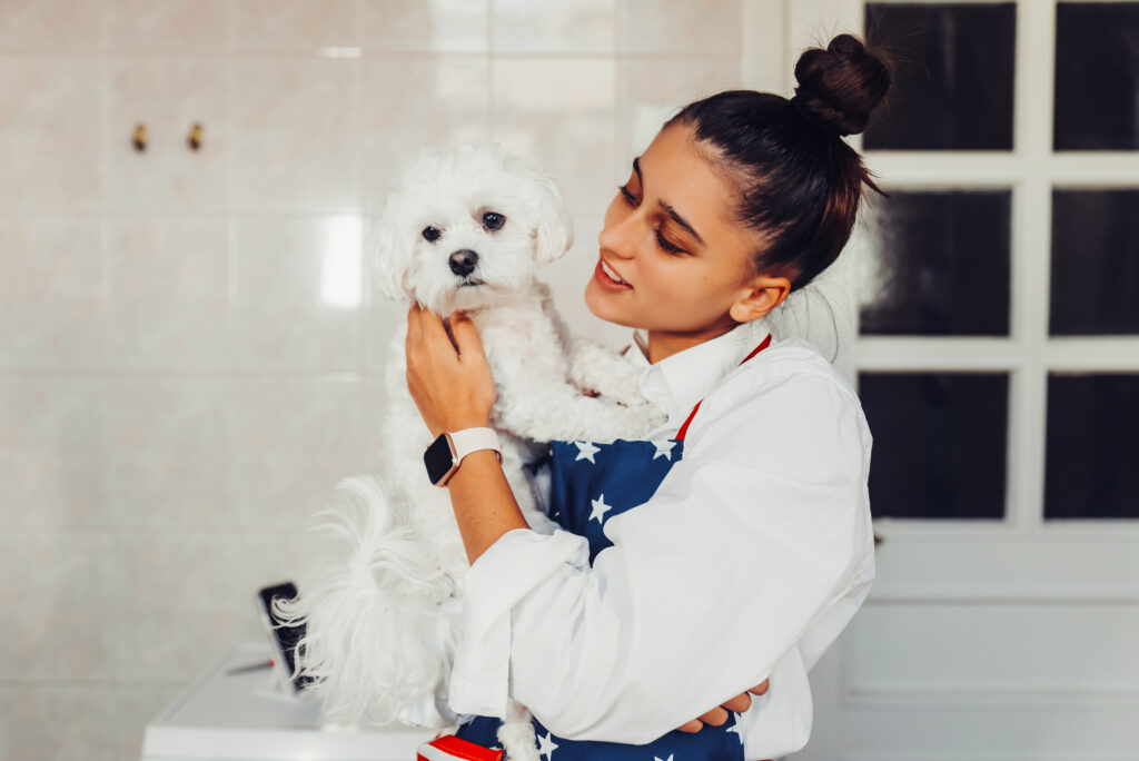 Benefits of Hiring Professional Pet Groomers