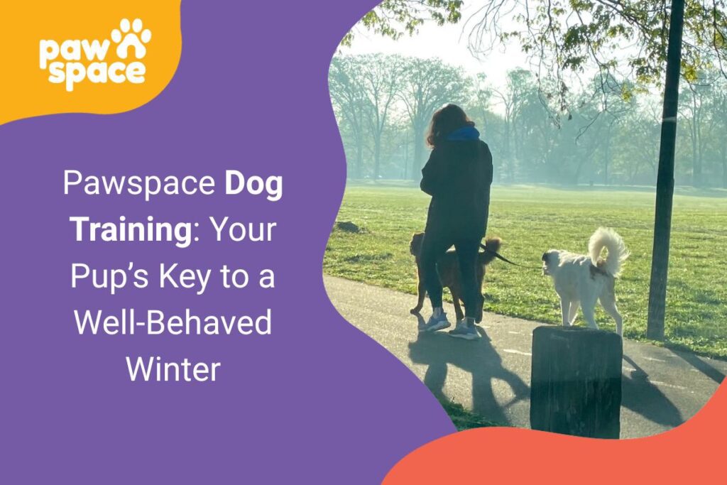 Pawspace Dog Training