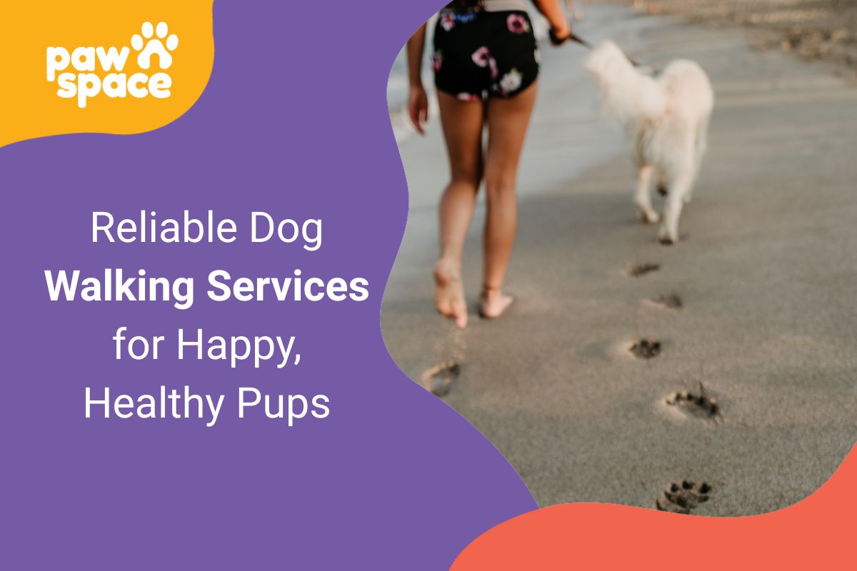 Dog Walking Services