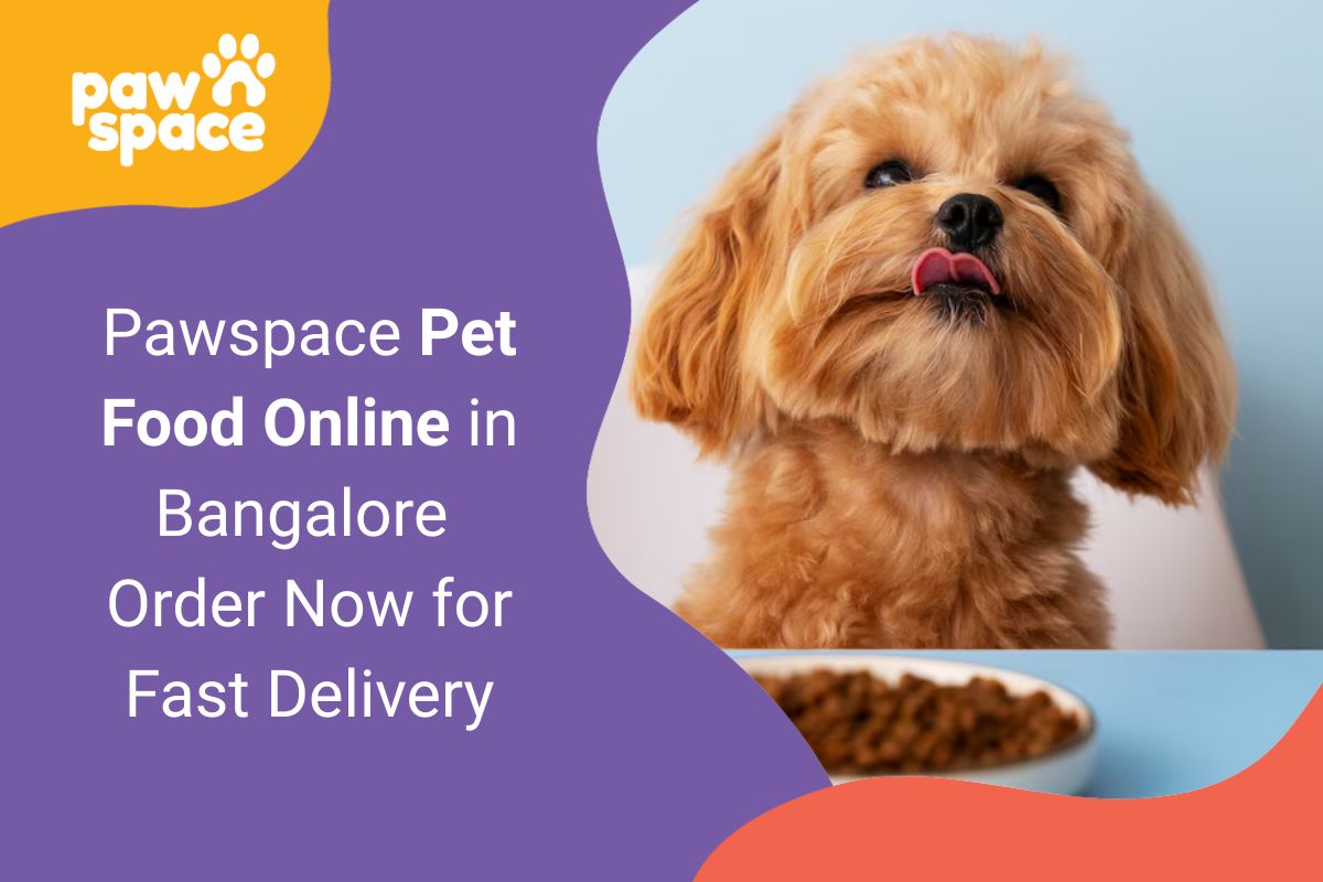 Pawspace Pet Food Online in Bangalore