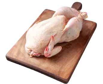 Protiens   Chicken is high source of Protein, B3 and B6 vitamins, and minerals