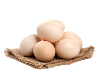 Protiens   Egg is rich in protein and Egg yolk is rich in omega-3 fatty acids.