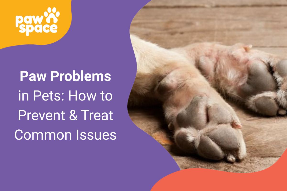 Paw Problems in Pets