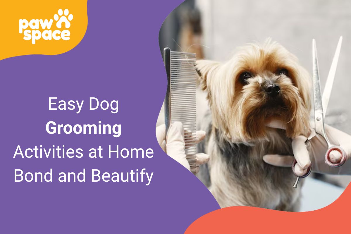 Dog Grooming Activities at Home