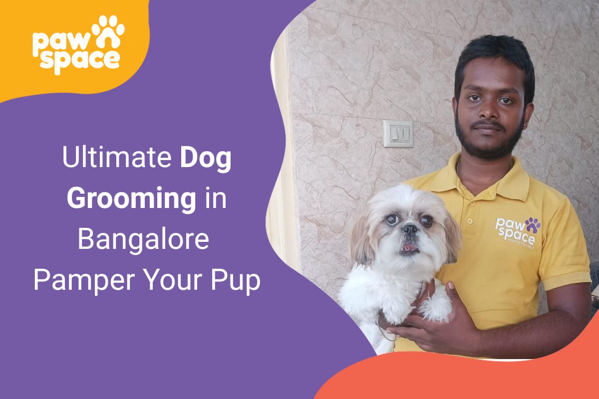 dog grooming in bangalore
