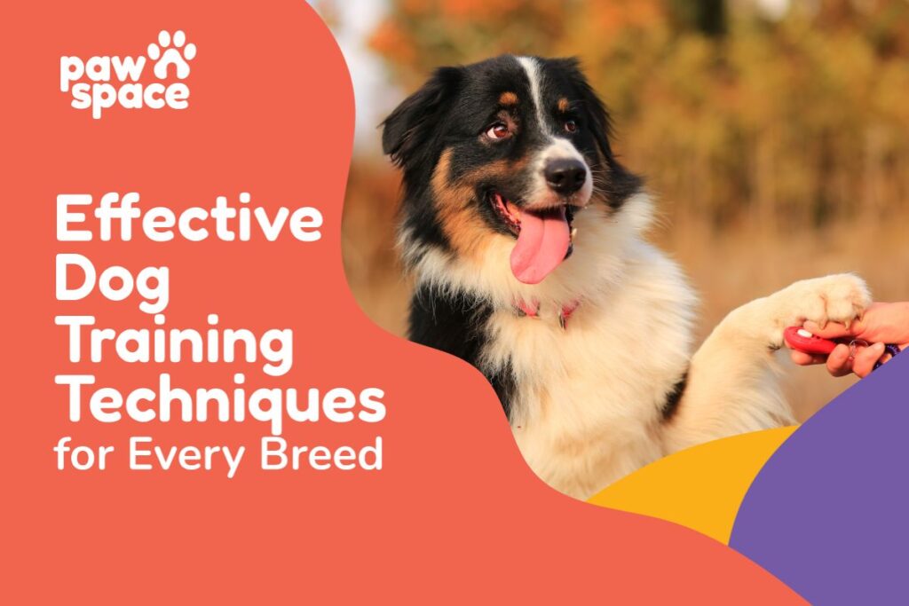 Effective Dog Training Techniques for Every Breed