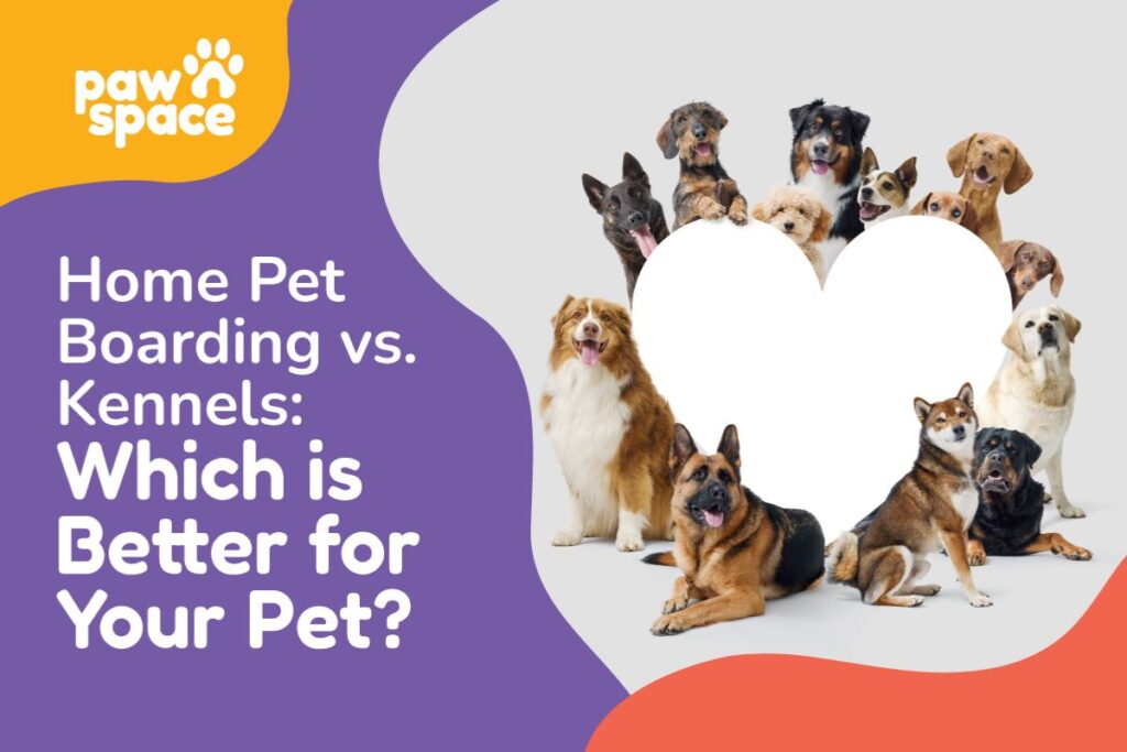 Home Pet Boarding vs Kennels