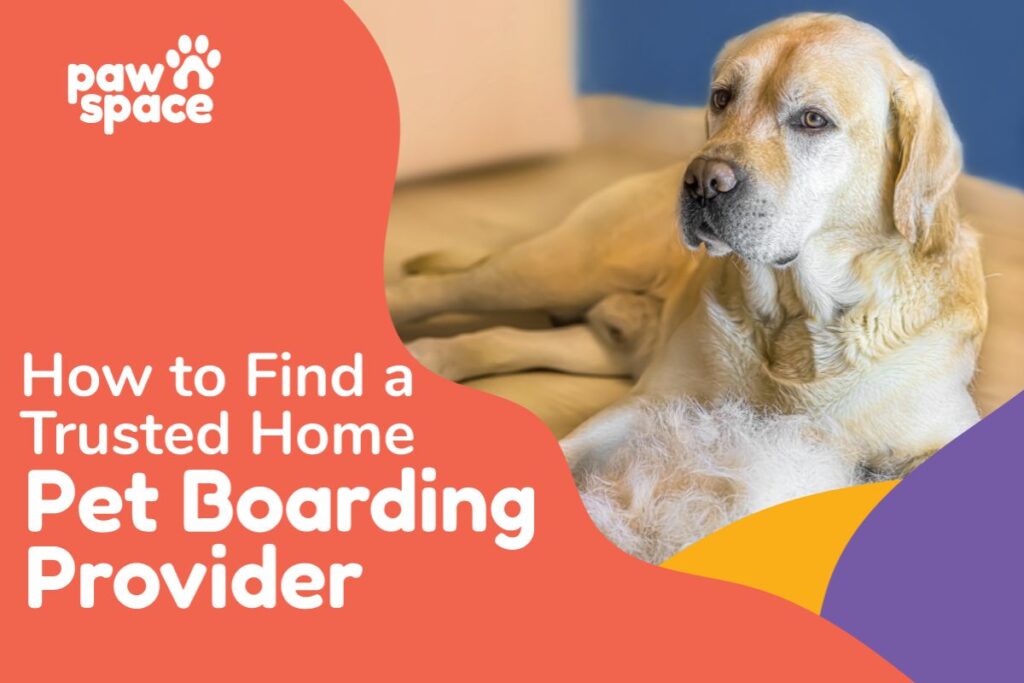 How to Find a Trusted Home Pet Boarding Provider