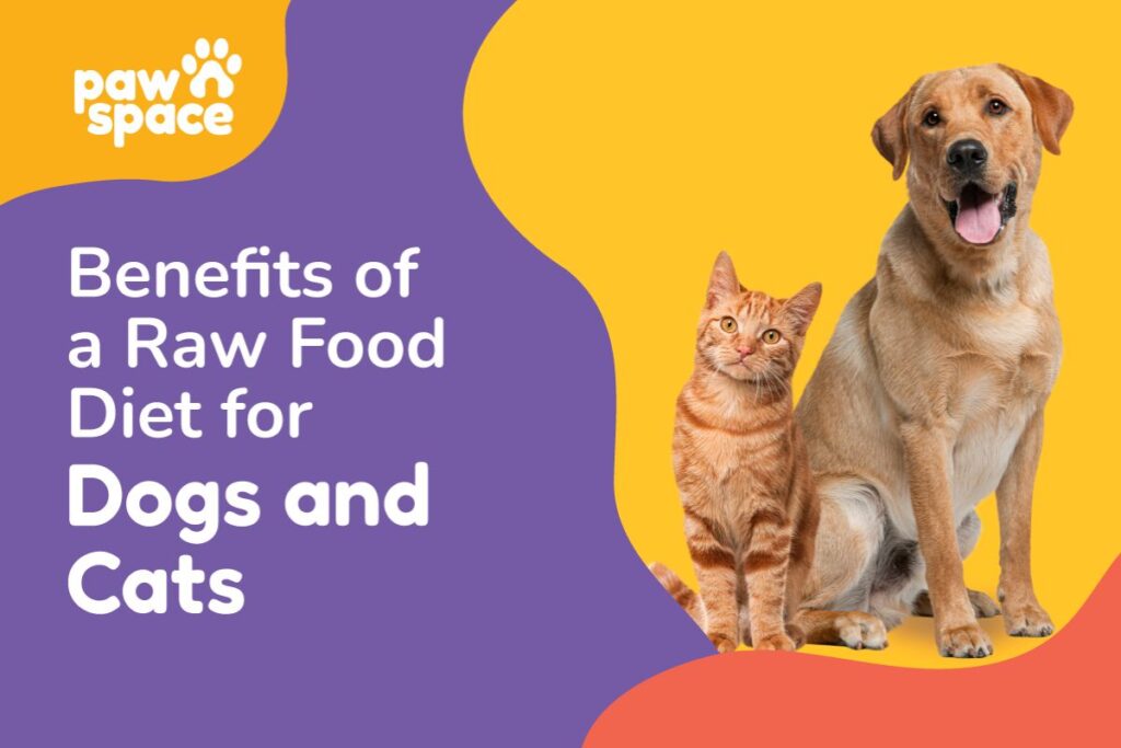 Raw Food Diet for Dogs and Cats