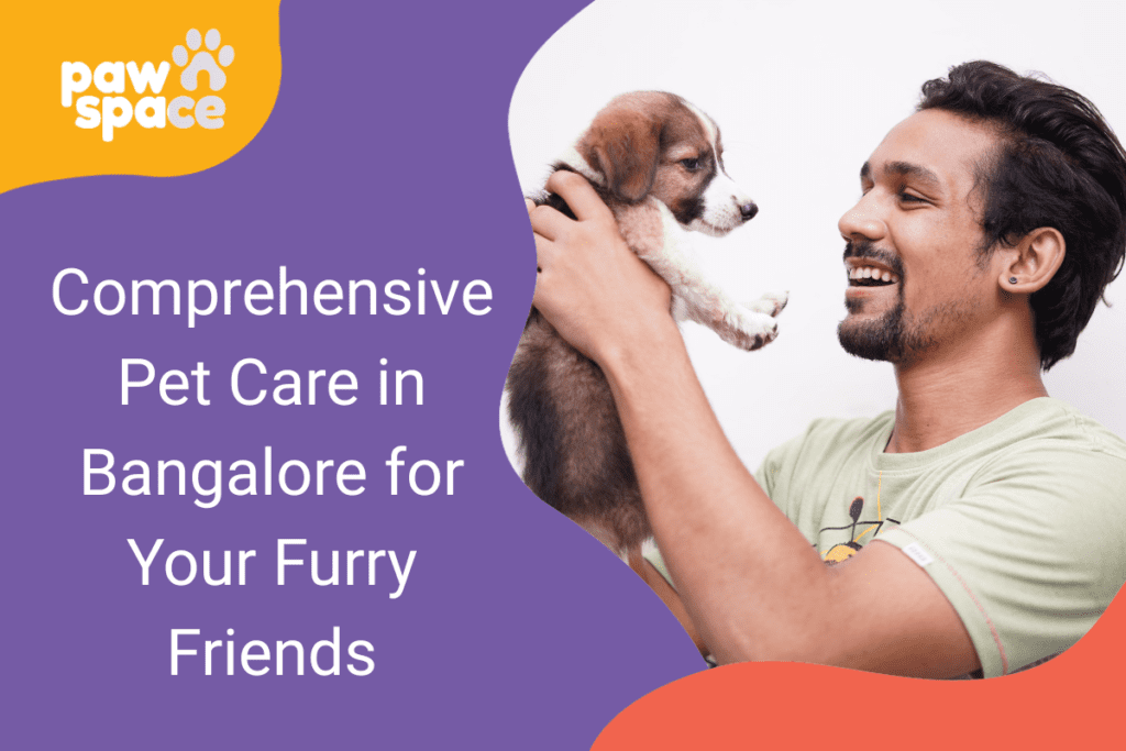 Pet Care in Bangalore