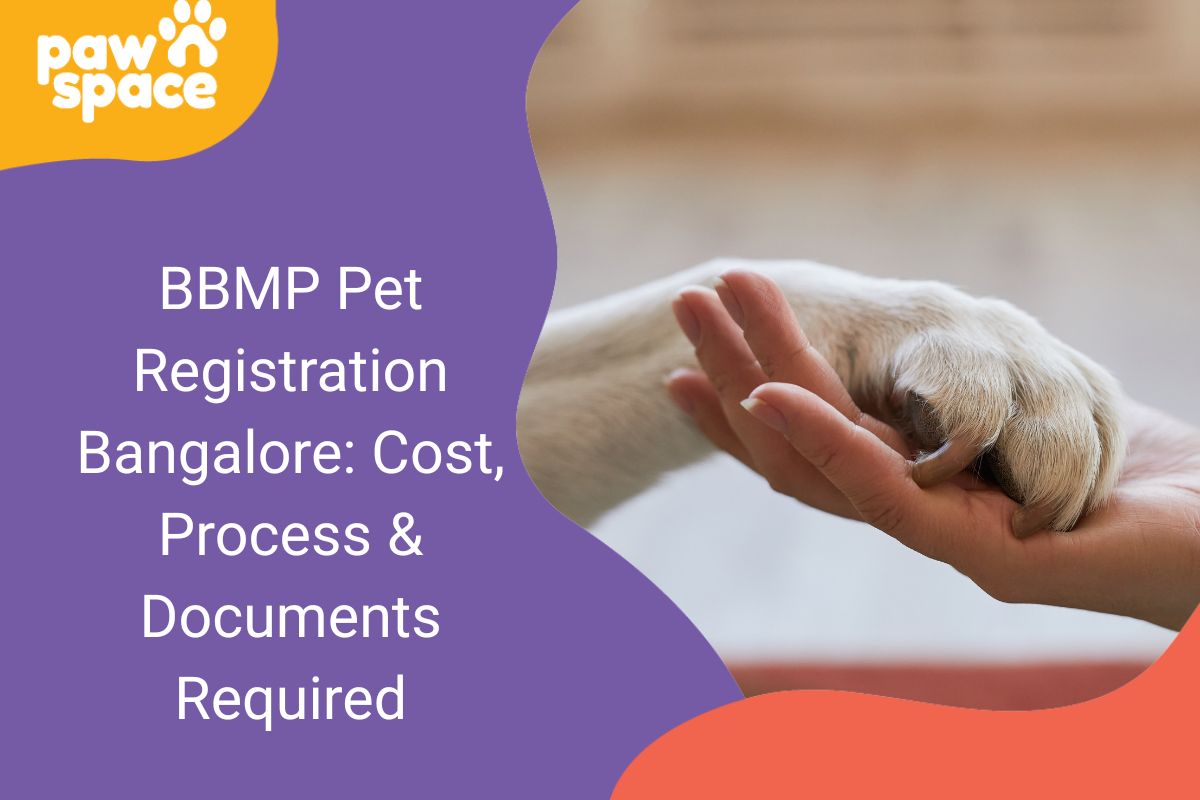 Pet Registration Bangalore