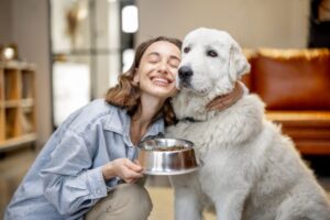 How much should I feed my dog?