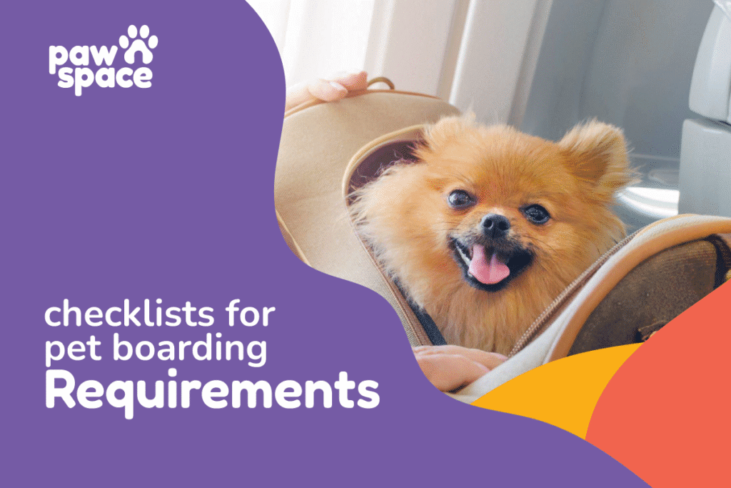 Pet Boarding Requirements in bangalore