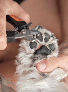 Keeps Nails Healthy and Clean 