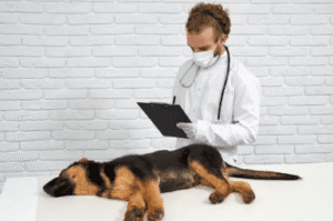 Early Detection of Health Issues 