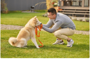  Increases Socialisation and Behaviour