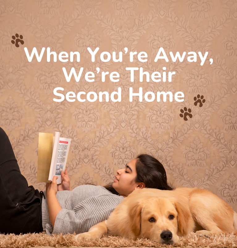 pet boarding in banglore