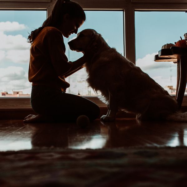 Pet Funeral Services in Bangalore