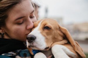moving your pet to another country