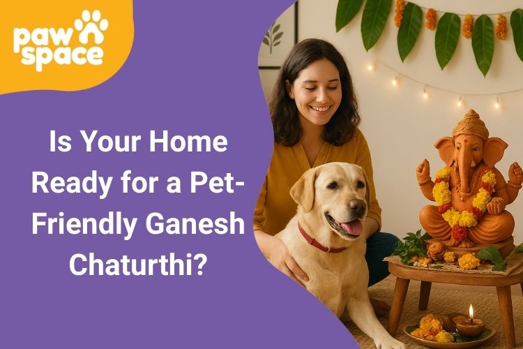 Pet-Friendly Ganesh Chaturthi
