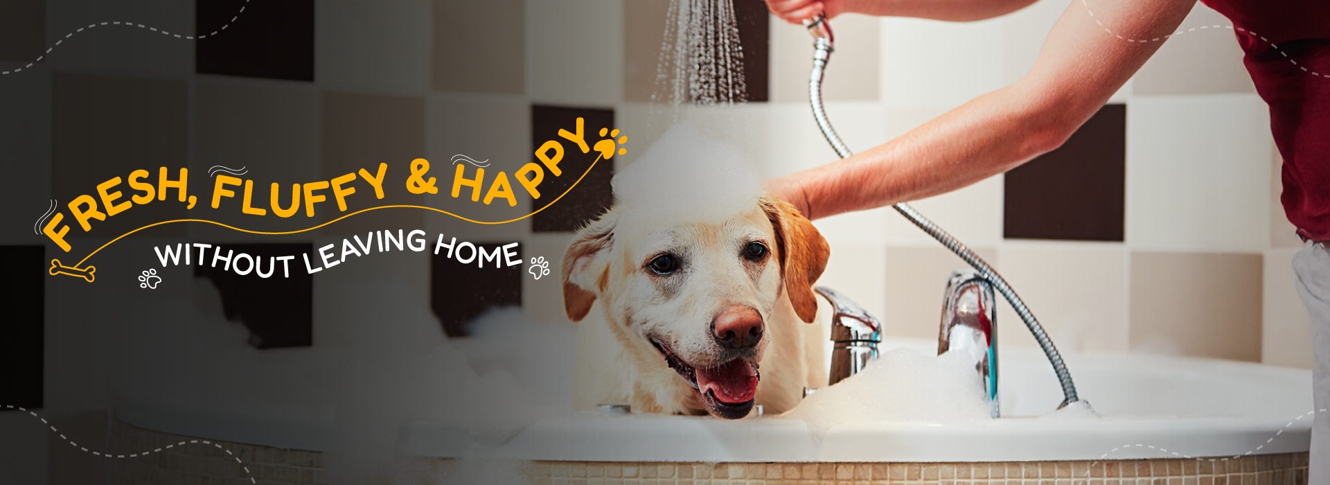 dog grooming in banglore