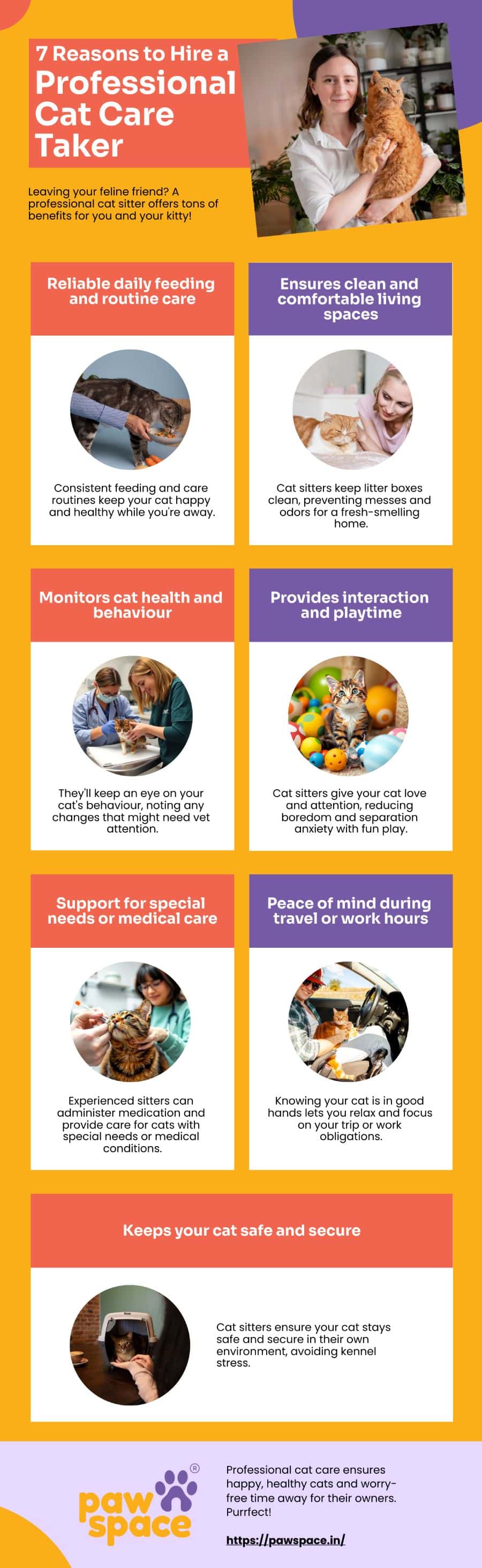 7 Reasons to Hire a Professional Cat Care Taker