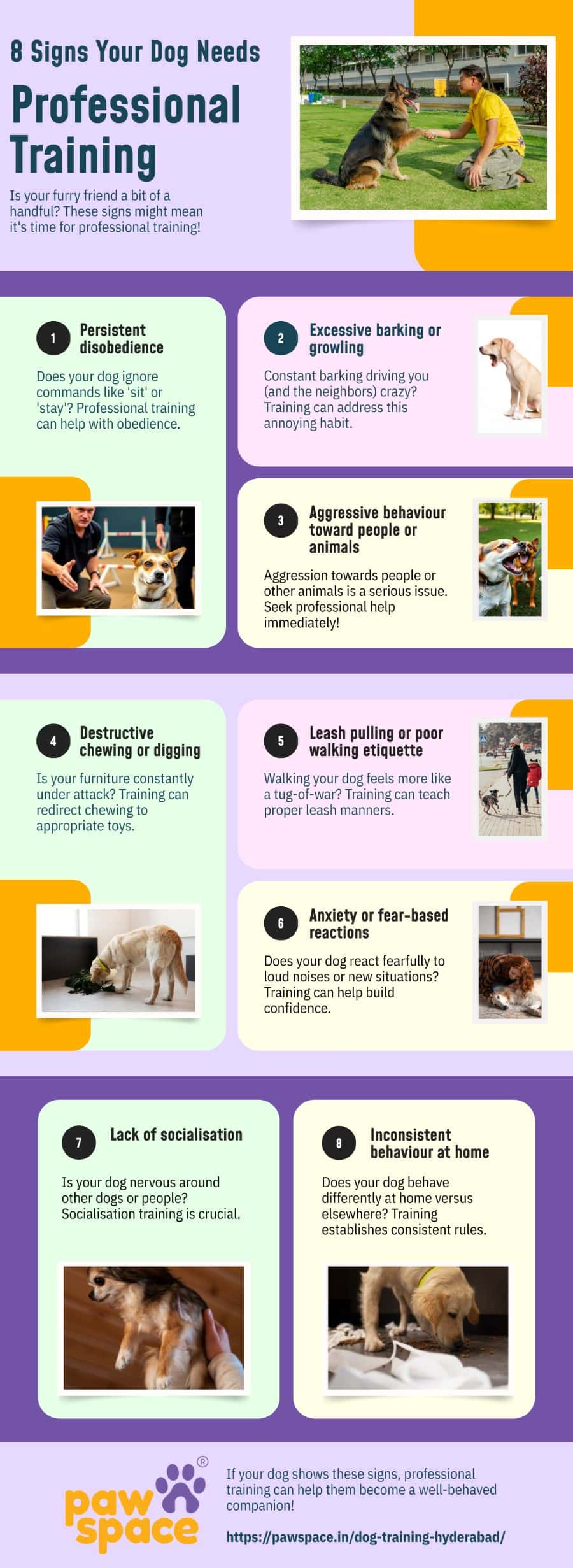 8 Signs Your Dog Needs Professional Training