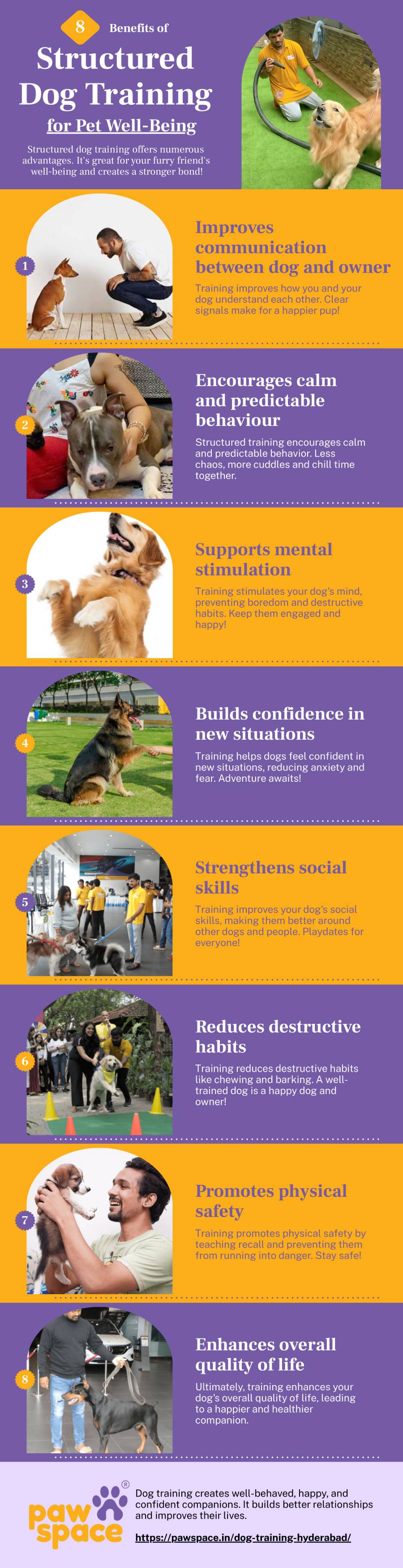 8 Benefits of Structured Dog Training for Pet Well-Being