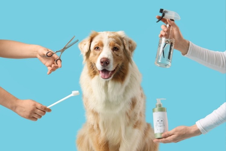 home grooming for pets