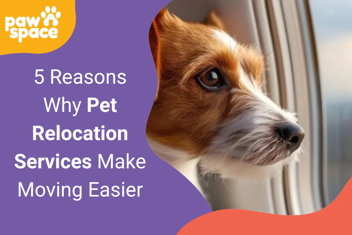 Pet Relocation Services