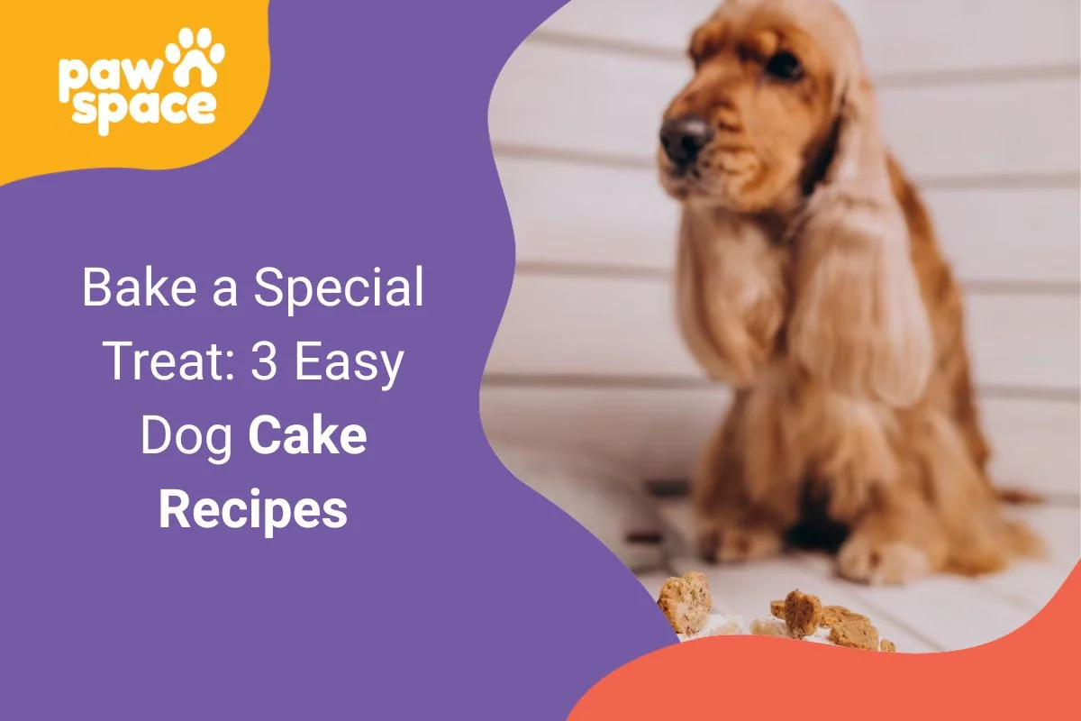 Dog Cake Recipes