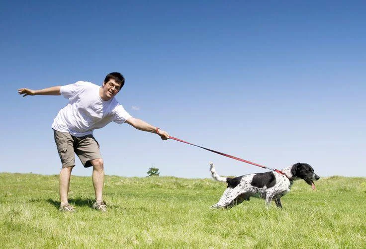 Dog Trainer Mistakes