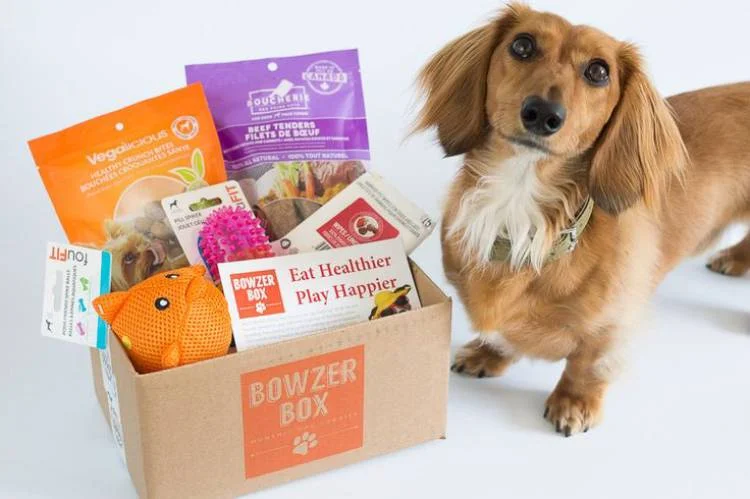 Gifts for Pets